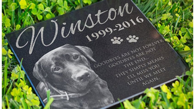 Unforgettable Moments: Honoring Our Beloved Pets in Memoriam