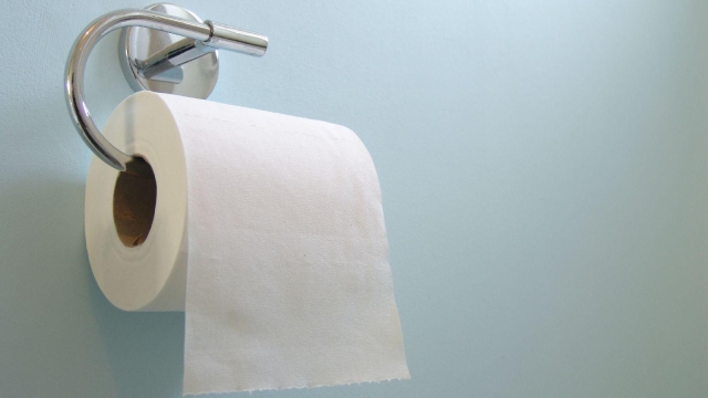 Unraveling the Mystery: The Intriguing Evolution of Toilet Paper