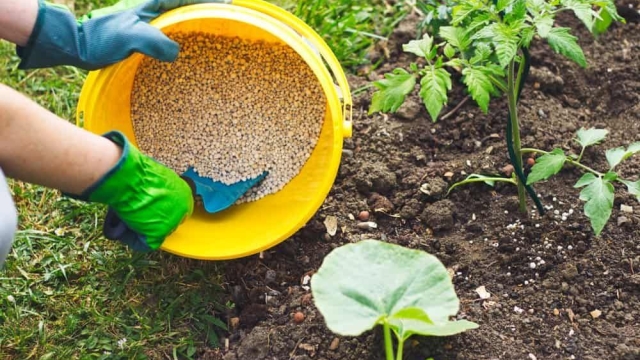 Nourishing the Earth: Unleashing the Power of Organic Soil and Fertilizers