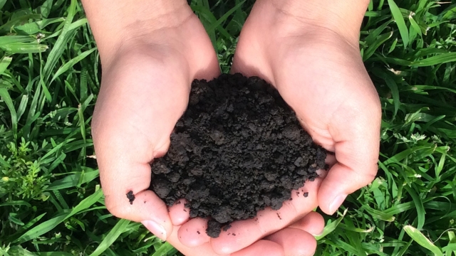 Nurturing Your Garden: Unleashing the Power of Organic Soil and Fertilizer