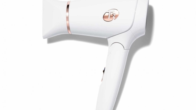 Fierce and Frizz-Free: Unleashing the Power of the Hair Dryer!