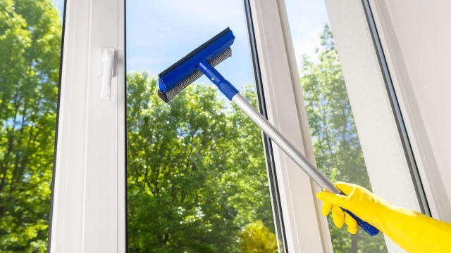 Crystal Clear: Mastering the Art of Window Cleaning