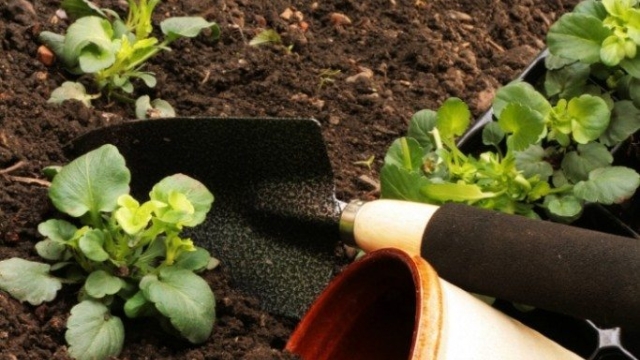Growing Green: Unveiling the Secrets of Organic Gardening