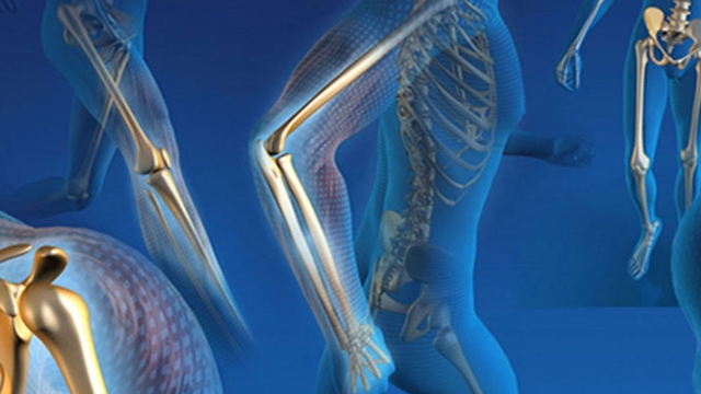 Bones & Beyond: Navigating Orthopedics With Ease