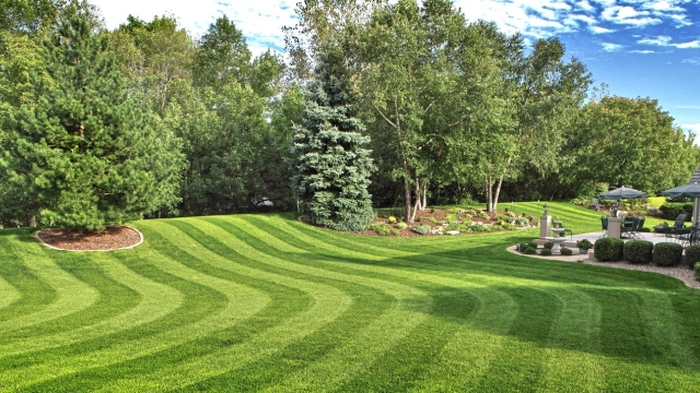 Nature’s Canvas: Transforming Spaces with Landscaping Mastery