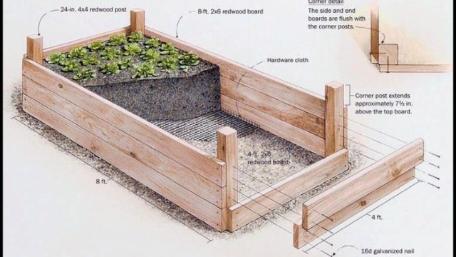 Blooming Paradise: Unleashing the Magic of Garden Beds