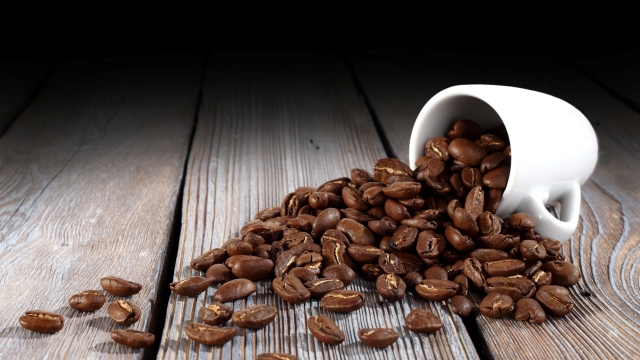 From Bean to Brew: The Ultimate Guide to Organic Coffee