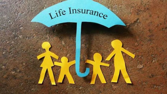 The Ultimate Guide to Understanding Insurance Policies