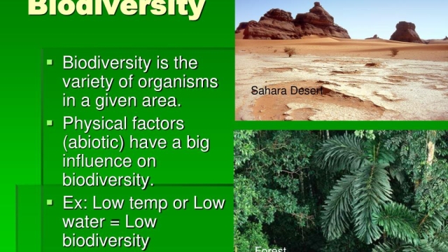 Harmony in Diversity: Exploring the Wonders of Ecology and Biodiversity