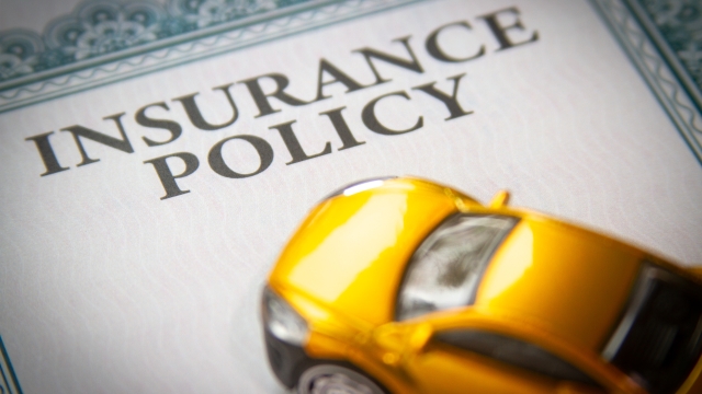 Insuring Your Peace of Mind: Navigating the World of Insurance Services