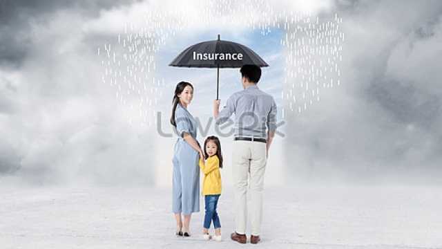 Navigating the Insurance Maze: A Consumer’s Guide to Insurance Services