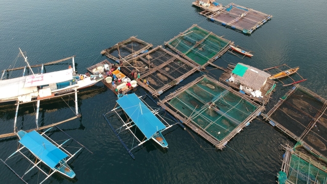 Revolutionizing the Blue: The Future of Aquaculture Technology