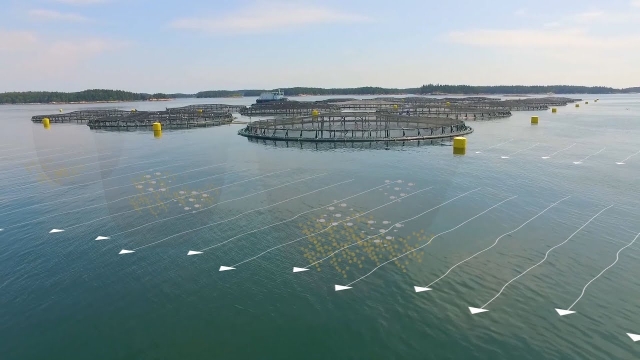 Revolutionizing the Blue: The Future of Aquaculture Technology