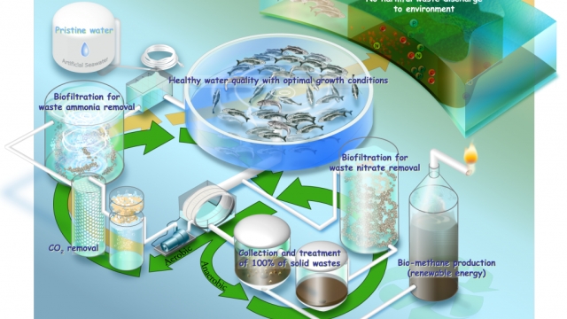 Revolutionizing the Future of Food: Unleashing Aquaculture Technology