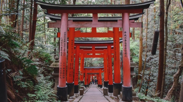 Whispers of the Ancients: Exploring the Enchantment of Shinto Shrines