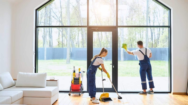 Sparkle and Shine: Mastering the Art of House Cleaning