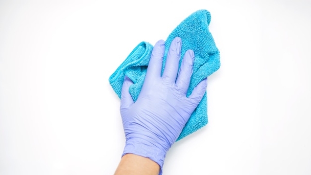 The Best Cleaning Services for Families with Pets